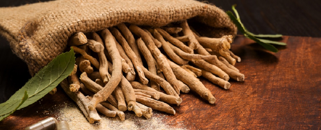 The Most Effective Ashwagandha Supplements In 2024 – A Buyer’s Guide